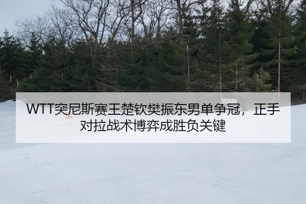 tu-ni-si-sai-wang-chu-qin-fan-zhen-dong-nan-dan-zheng-guan-zheng-shou-dui-la-zhan-shu-bo-yi-cheng-sheng-fu-guan-jian-3-292.jpg