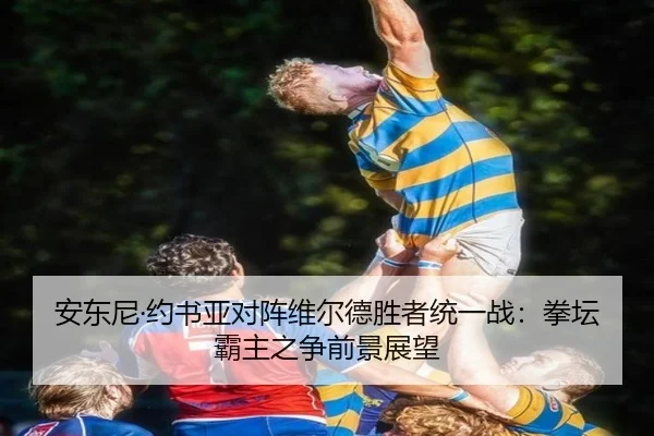 安东尼·约书亚对阵维尔德胜者统一战：拳坛霸主之争前景展望