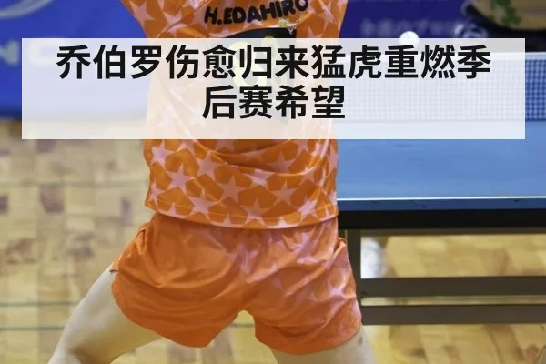 乔伯罗伤愈归来猛虎重燃季后赛希望