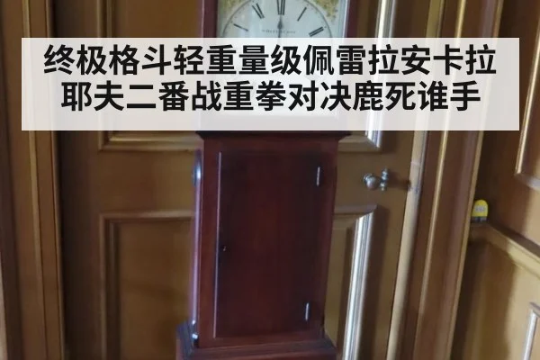 终极格斗轻重量级佩雷拉安卡拉耶夫二番战重拳对决鹿死谁手